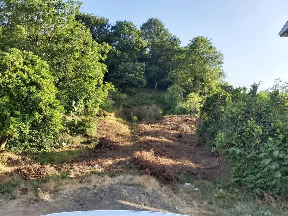 460 متر زمین مسکونی سند تک برگی|فروش زمین و ملک کلنگی|تهران, حسن‌آباد|دیوار