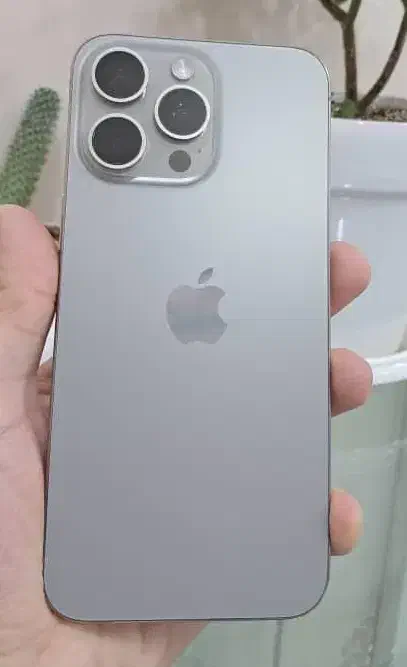 16 پرومکس نچرال تیتانیوم|موبایل|رشت, کاکتوس|دیوار