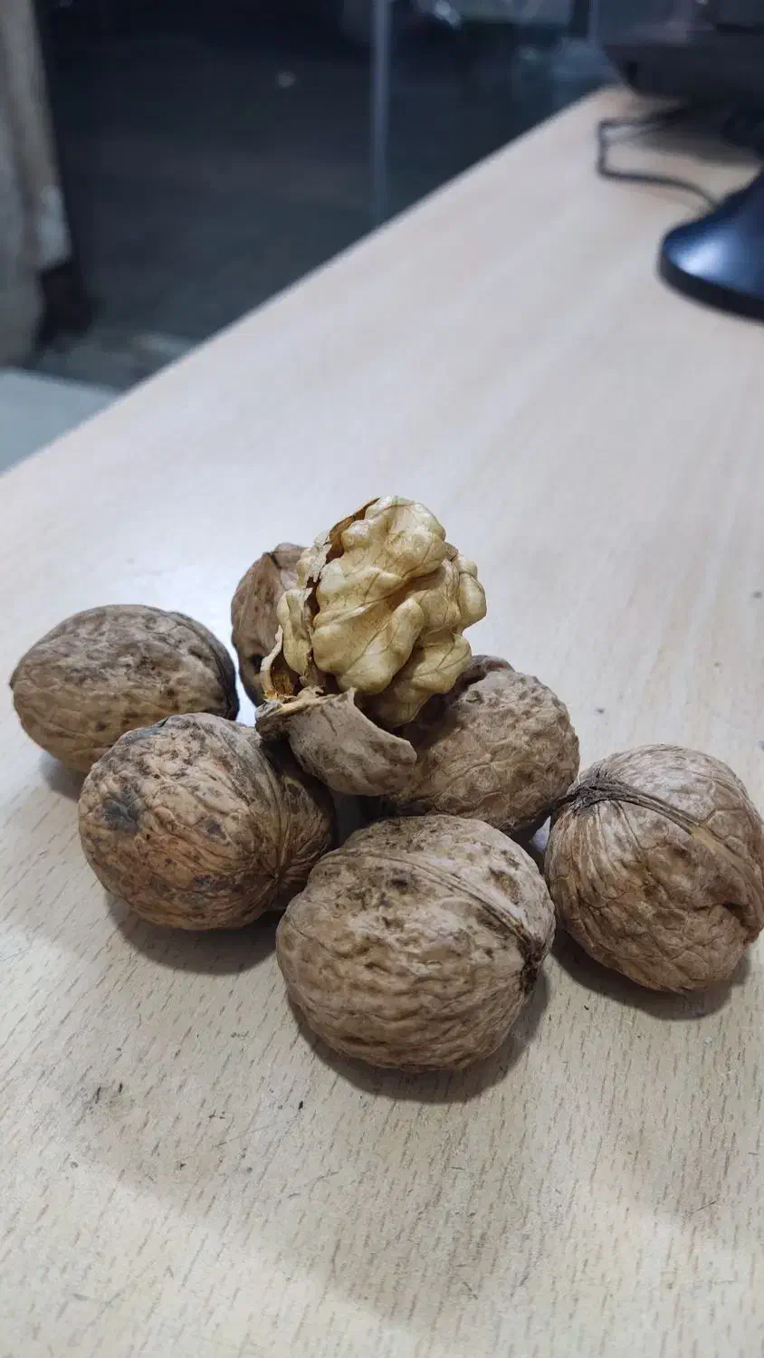 گردو|خوردنی و آشامیدنی|مشهد, مشکینی (شهرک غرب)|دیوار