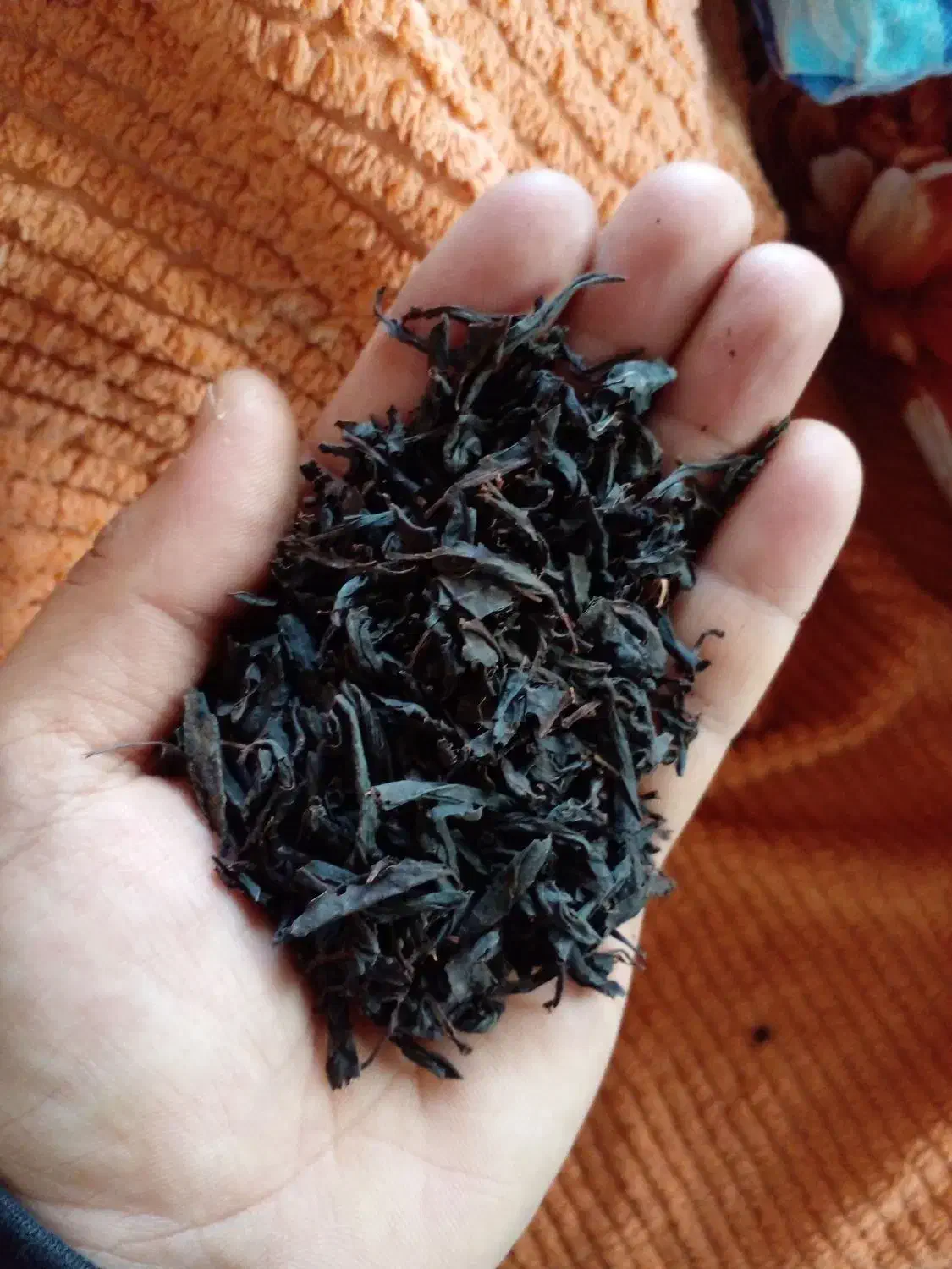 چای اصیل لاهیجان روستای سطلسر|خوردنی و آشامیدنی|لاهیجان, خالو باغ|دیوار