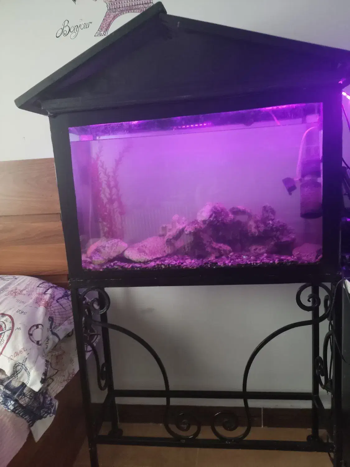 اکواریوم بزرگ با تمام لوازم مرجان های خواص|ماهی|قائم‌شهر, |دیوار