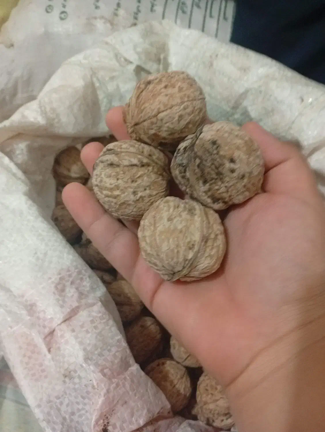 فروش گردو وبادام|حراج|قوچان, |دیوار