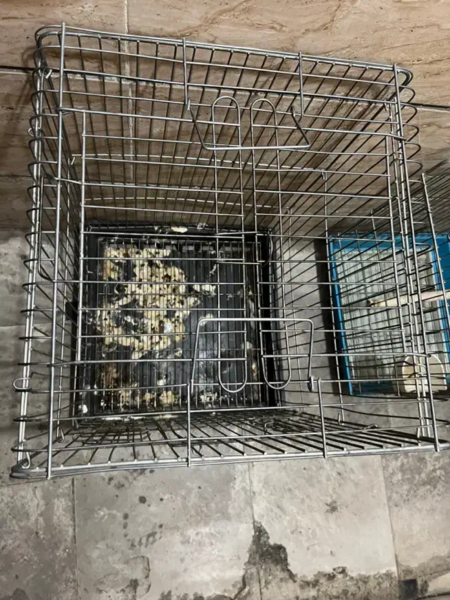 قفس|لوازم جانبی حیوانات|تهران, جیحون|دیوار