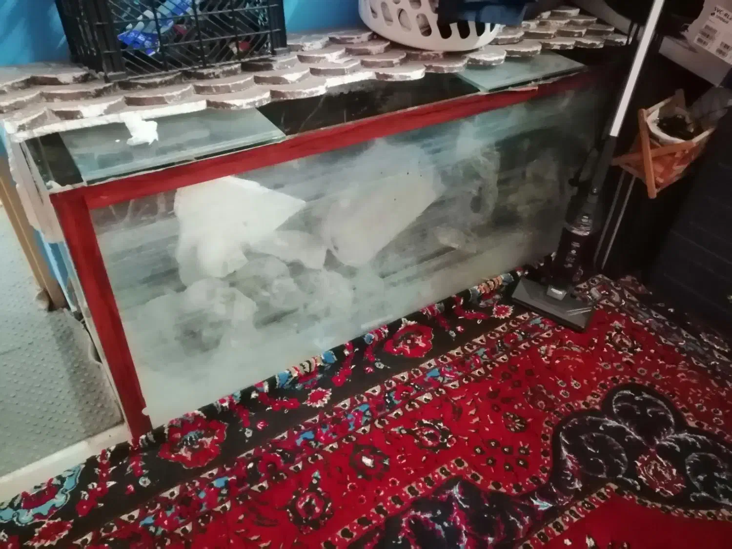 آکواریوم دومتری|ماهی|زاهدان, |دیوار