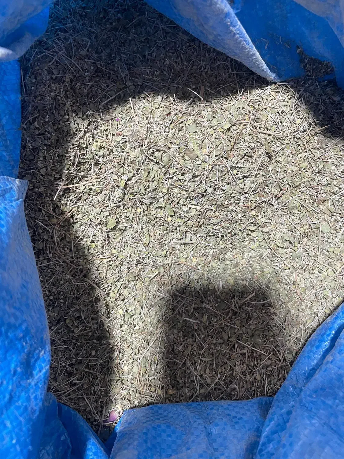 اویشن قیمت مناسب|خوردنی و آشامیدنی|شیراز, شهرک سراج‎|دیوار