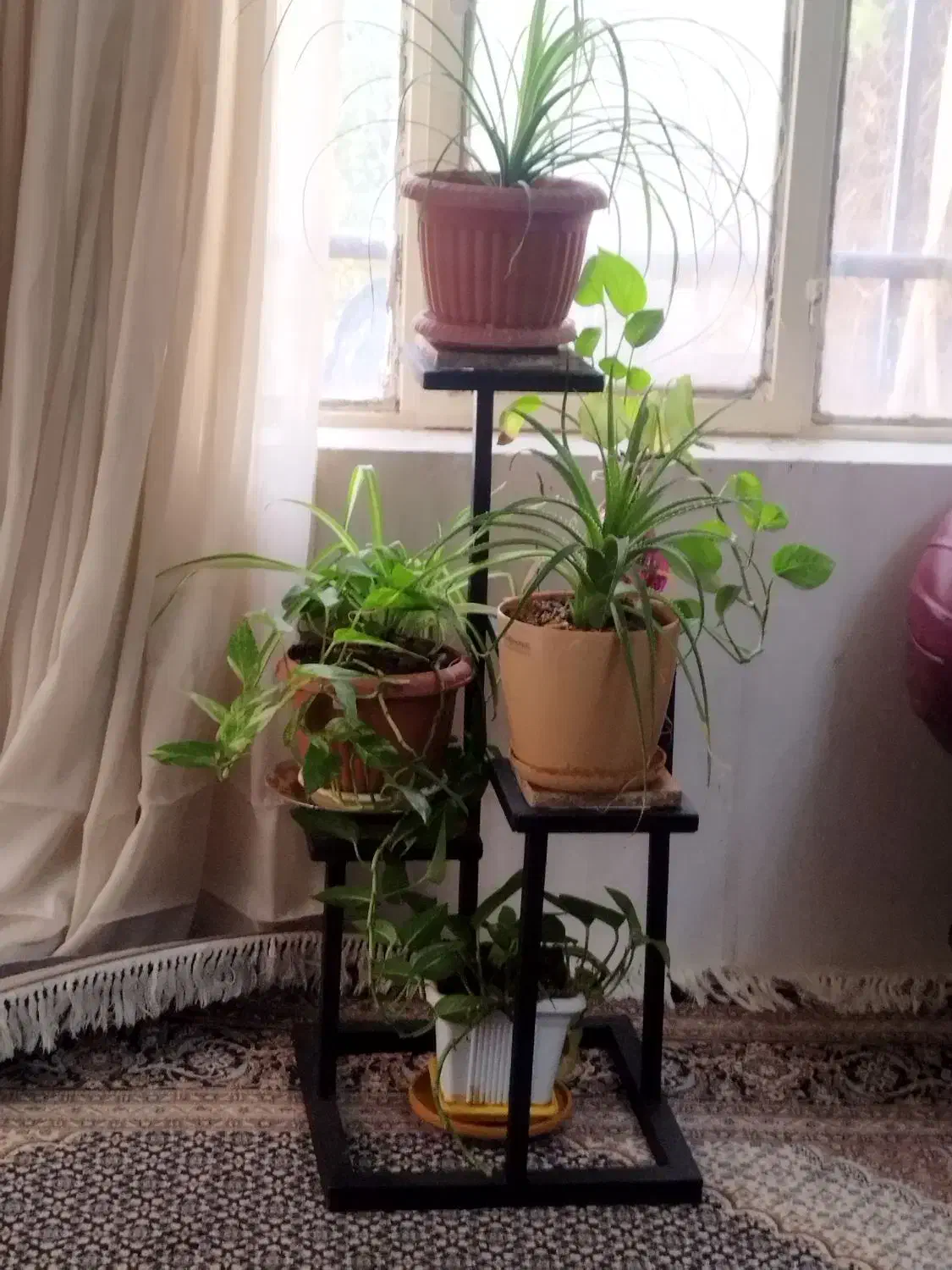 استند گل.جا گلدونی|صنایع دستی و سایر لوازم تزئینی|اشتهارد, |دیوار