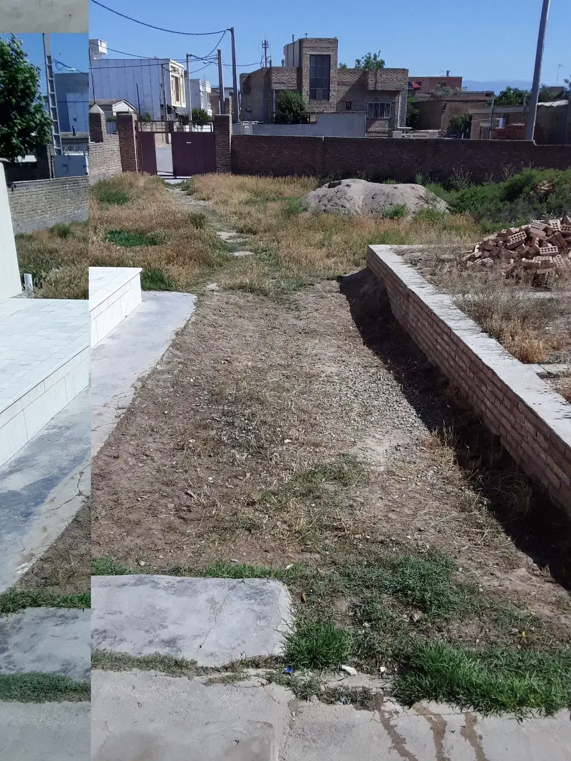 کندن علفهای هرز|خدمات نظافت|گنبد کاووس, |دیوار