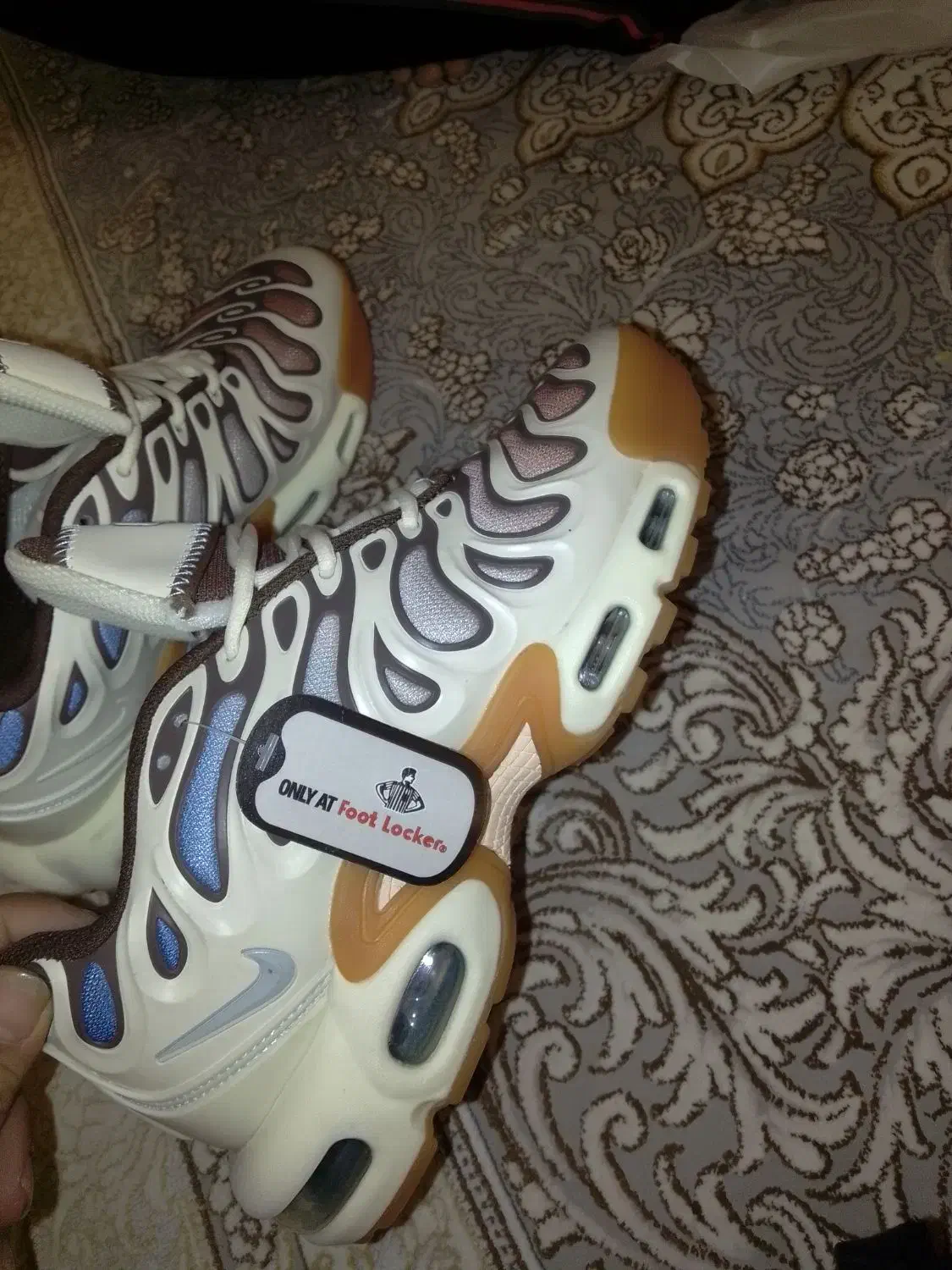 باسلام درود|کیف، کفش، کمربند|ری, جوانمرد قصاب|دیوار