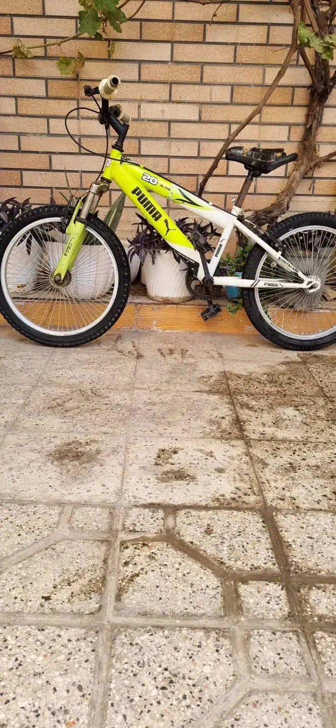 دوچرخه سایز ۲۰|دوچرخه، اسکیت، اسکوتر|پاکدشت, پاکدشت (مامازند)|دیوار