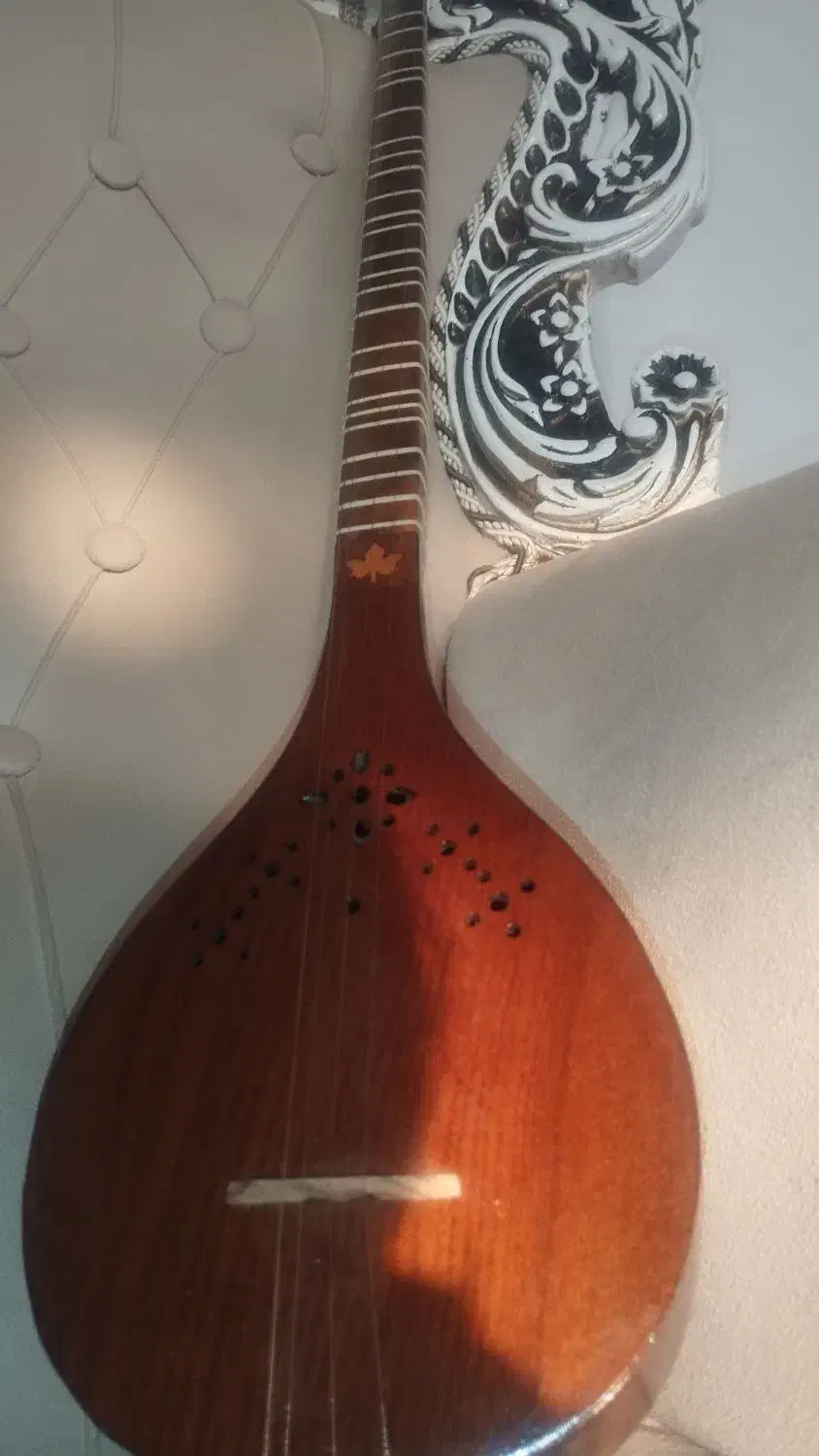 سه تار نو مفاخری به همراه کیف کتاب جلسه اول آموزش|سازهای سنتی|داورزن, |دیوار