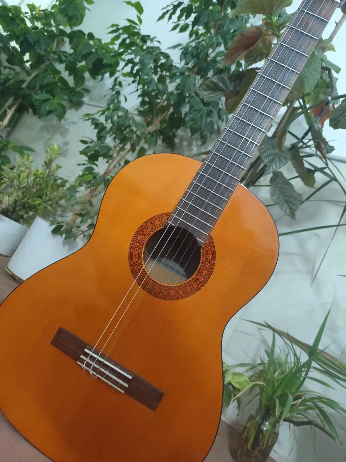 گیتار یاماها c40ساخت قدیم|گیتار، بیس، امپلیفایر|نیشابور, شهرآرا|دیوار