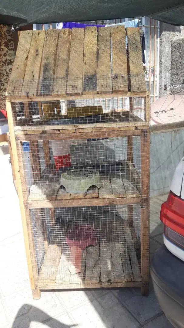 جفتگاه کبوتر ۳طبقه|لوازم جانبی حیوانات|فسا, |دیوار