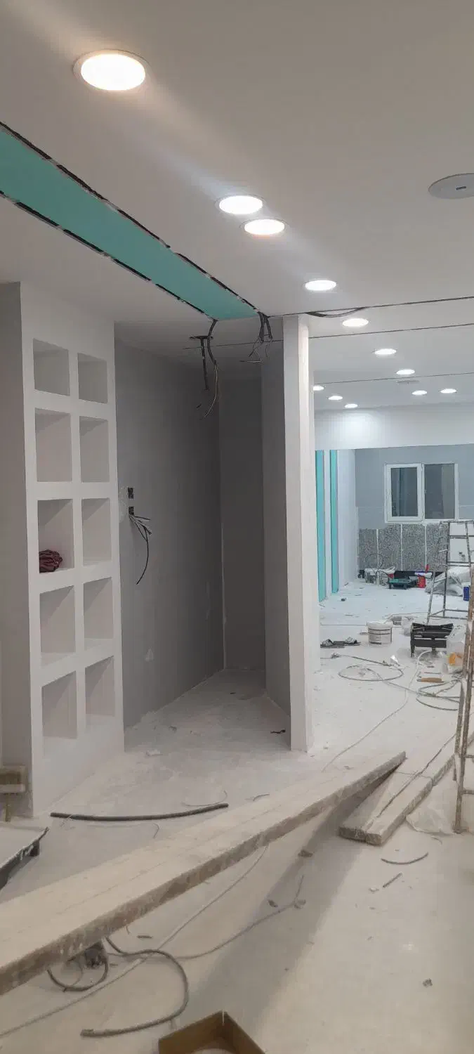 رنگ آمیزی اصولی ساختمان|خدمات پیشه و مهارت|دوگنبدان, |دیوار