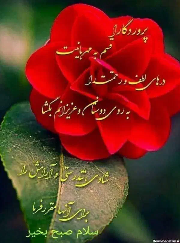 قطعه طلا حوالی سرسبز پیدا شده|جواهرات|تهران, نارمک|دیوار