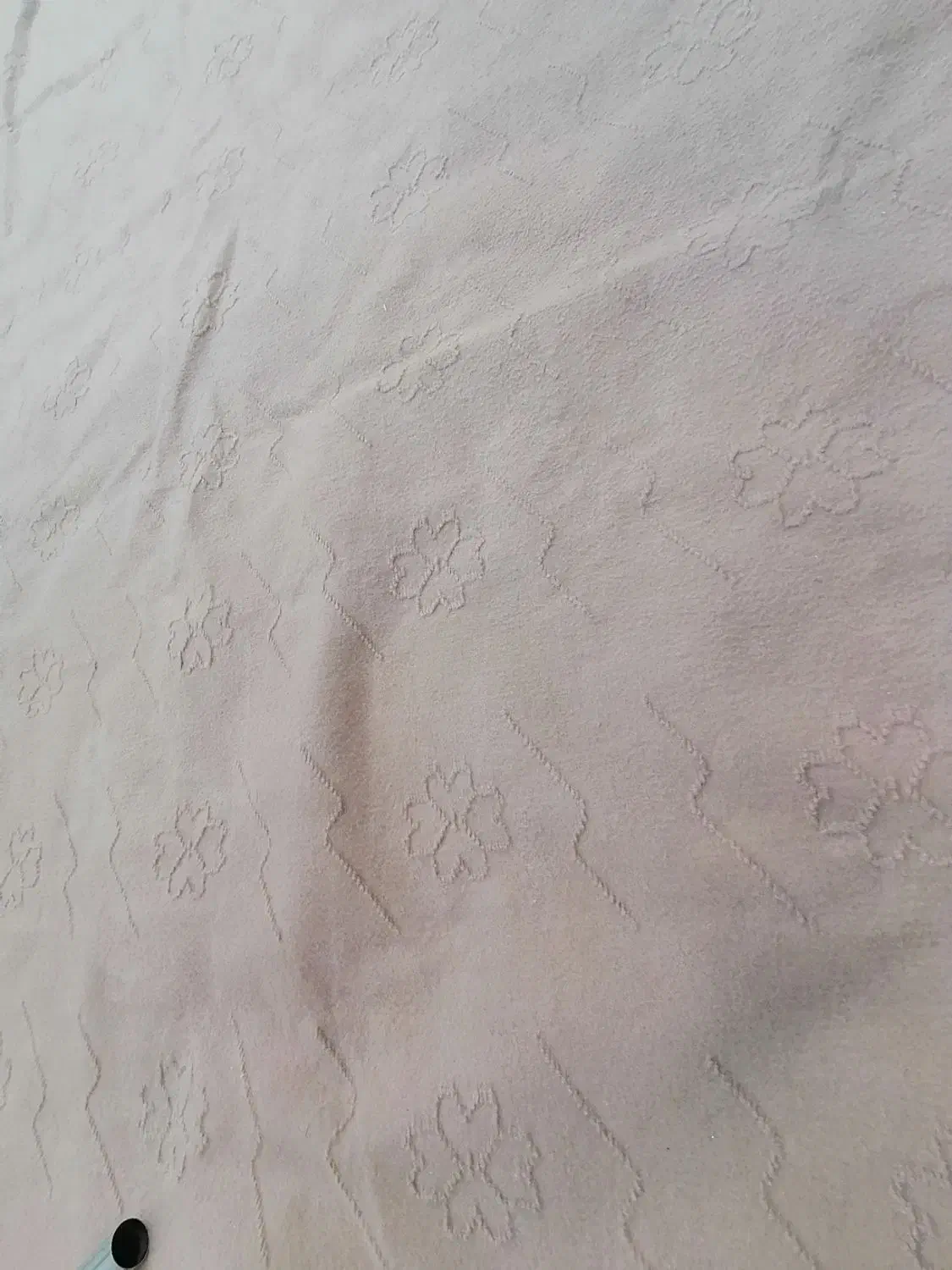 موکت سالم 3/4|موکت|نیشابور, مازول|دیوار