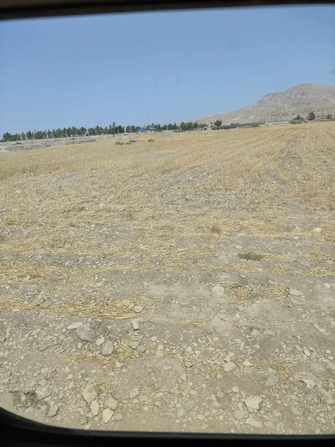 فروش  زمین  ۹۵۰۰ متری در صالح آباد  درجای خوب|فروش دفتر صنعتی، کشاورزی، تجاری|صالح آباد (ایلام), |دیوار