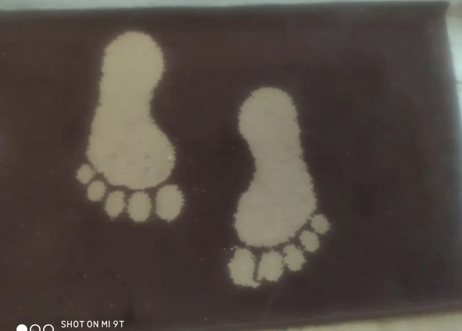 سه عدد پادری|پادری|تهران, شهرک شهید باقری|دیوار