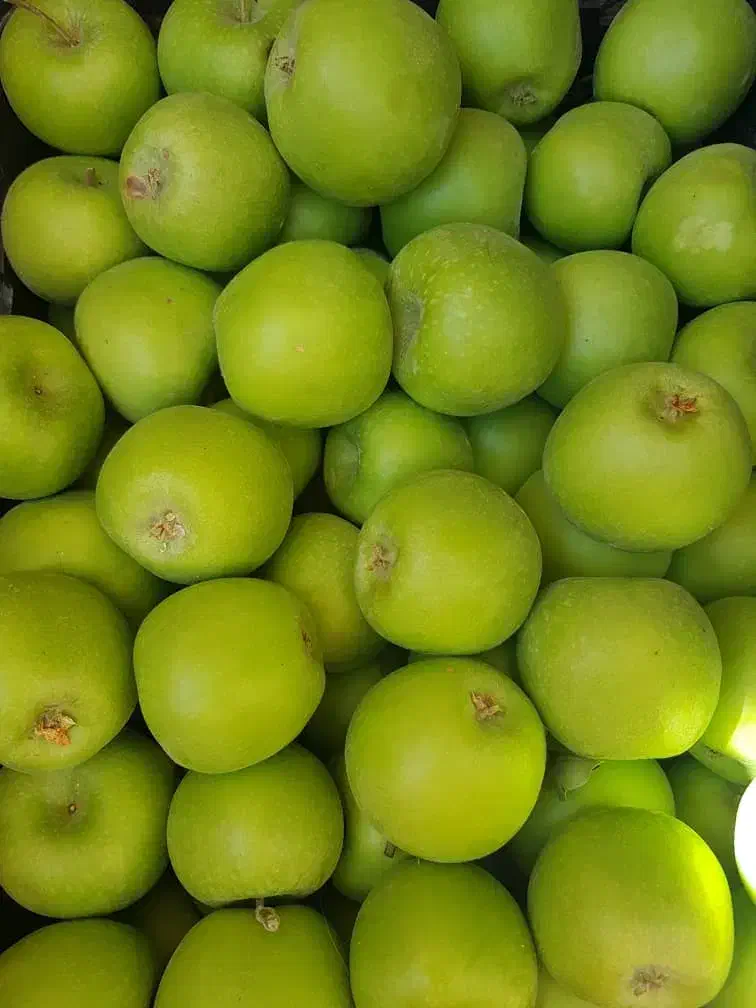 آلو زرد بخارا،سیب سبز|خوردنی و آشامیدنی|شیراز, منطقه هوایی شهید دوران|دیوار