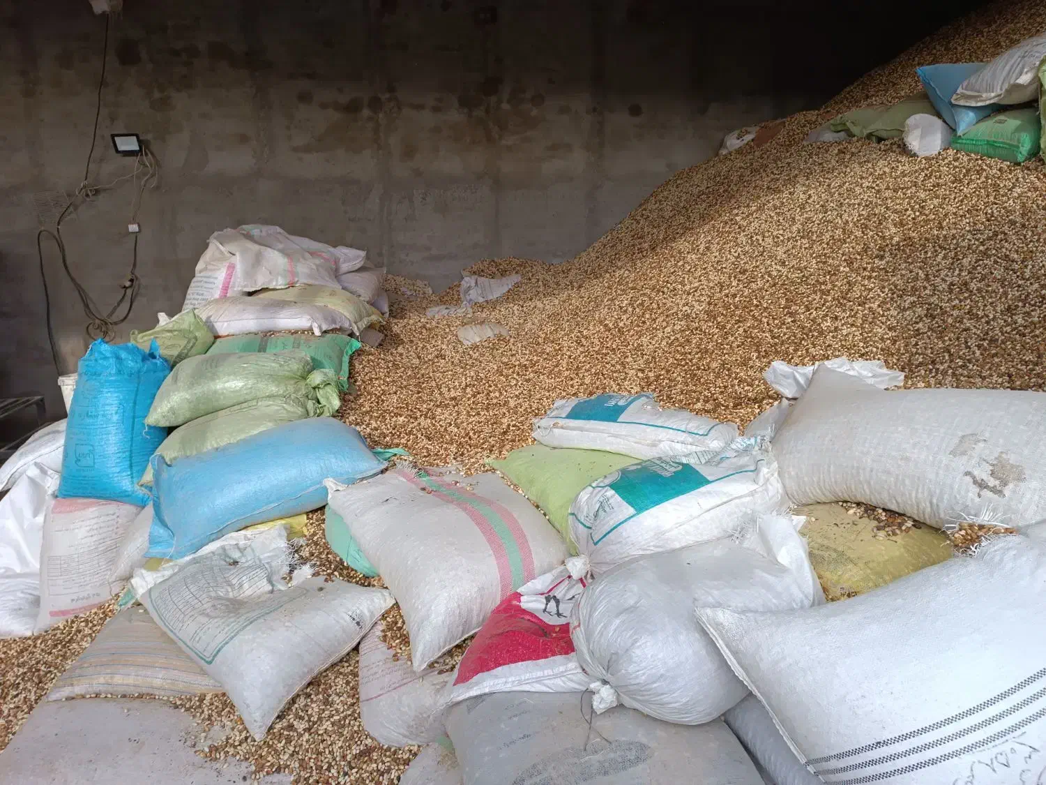 پسته ی پوک و روآبی|عمده‌فروشی|تربت‌حیدریه, پائین ولایت|دیوار