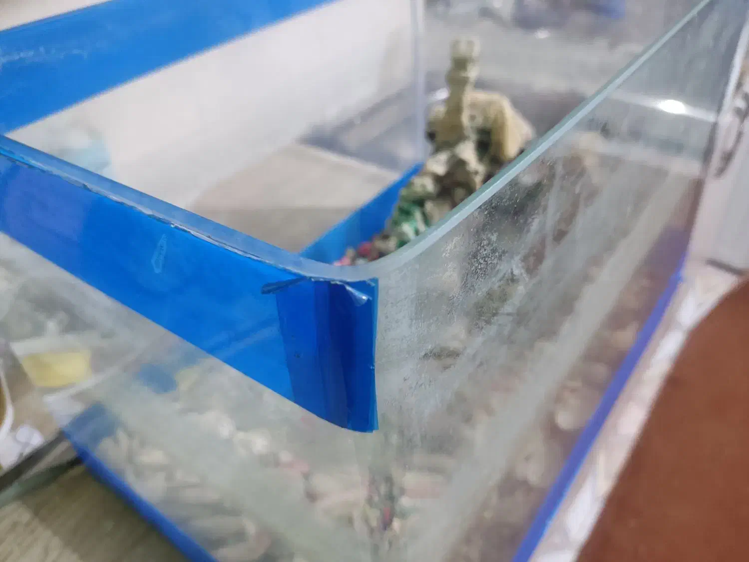 آکواریوم شیشه خم|ماهی|نظرآباد, رسالت|دیوار