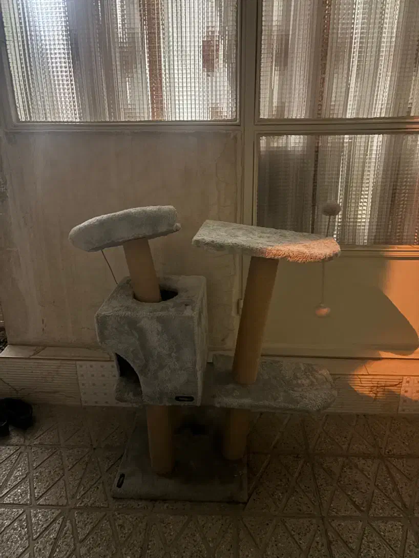 اسکرچر گربه|لوازم جانبی حیوانات|تهران, جوادیه|دیوار