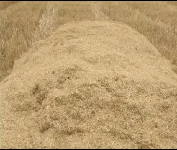 فروش|عمدهفروشی|سملقان, |دیوار