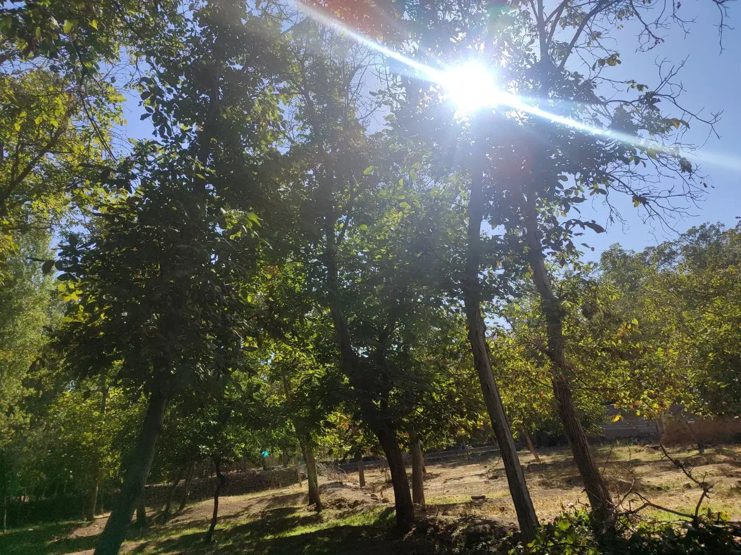 فروش باغ ویلایی دراسکو|فروش زمین و ملک کلنگی|اسکو, |دیوار