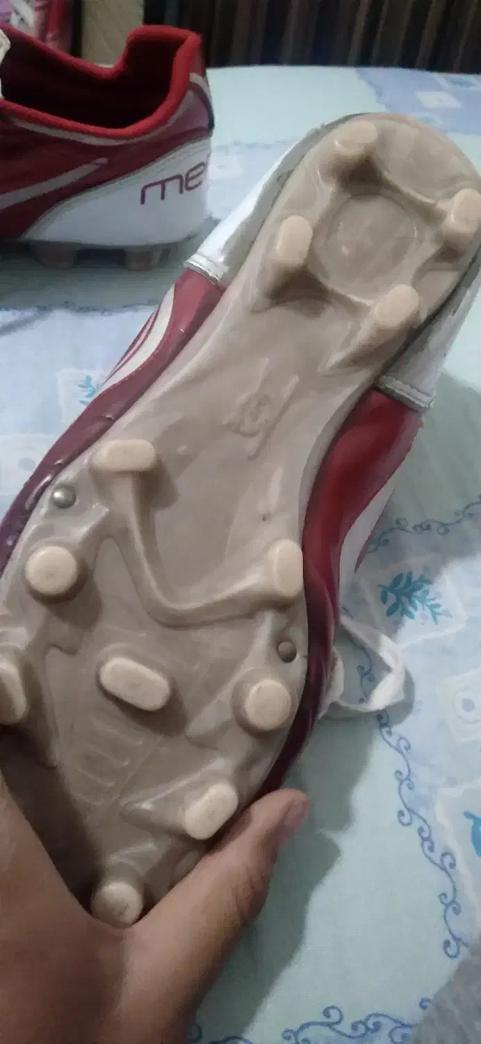 کفش استوک|کیف، کفش، کمربند|دماوند, گیلاوند|دیوار