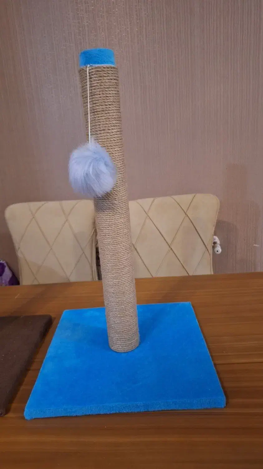 اسکرچر گربه|لوازم جانبی حیوانات|رشت, دیلمان|دیوار