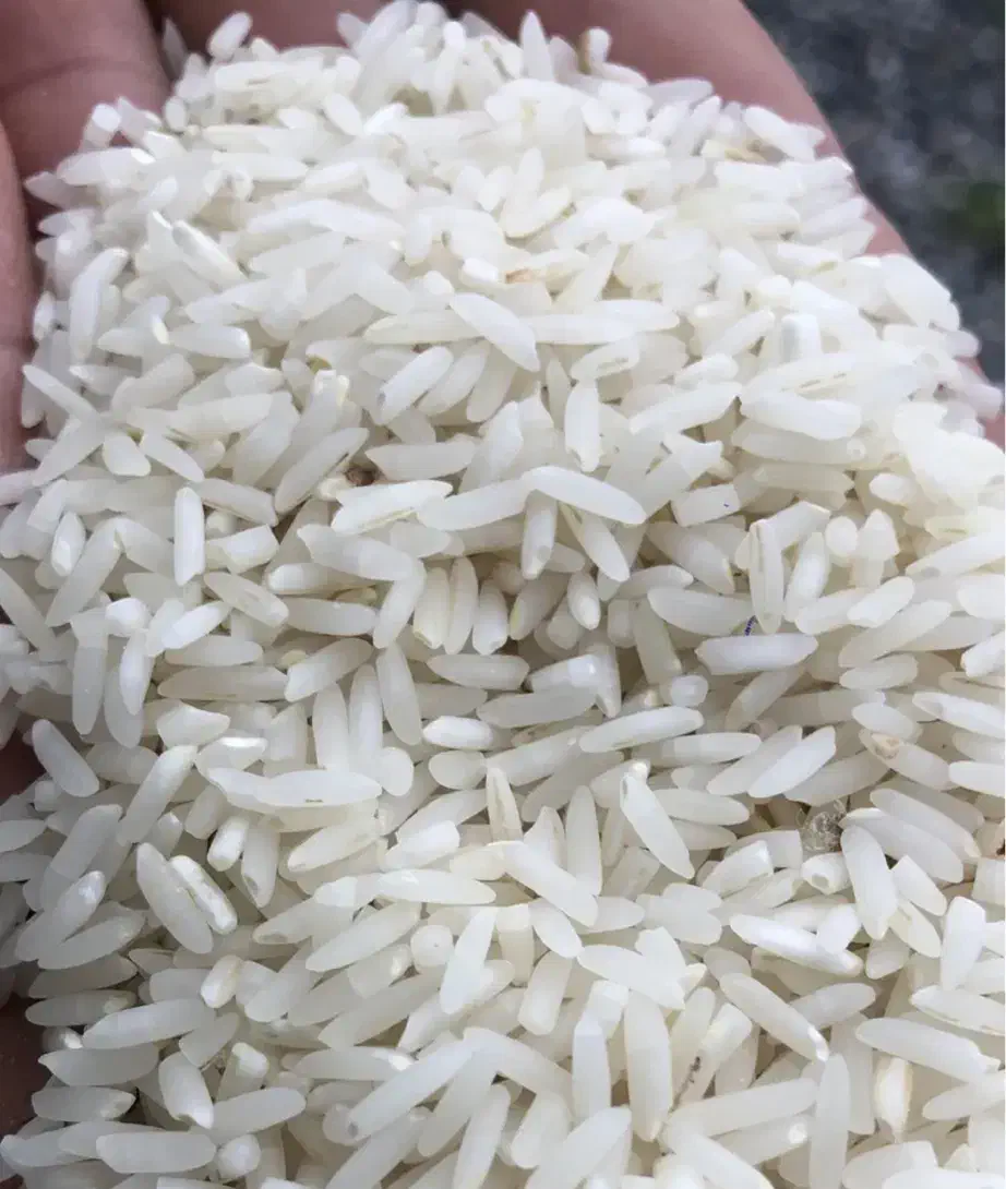 برنج رضا جو محلی لاهیجان|خوردنی و آشامیدنی|تهران, جوادیه|دیوار