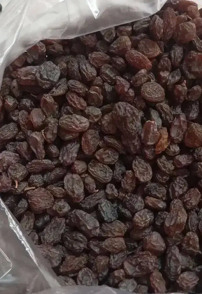 کشمش بیدانه آفتابی تاکستان پاک شده|خوردنی و آشامیدنی|تهران, بهداشت|دیوار