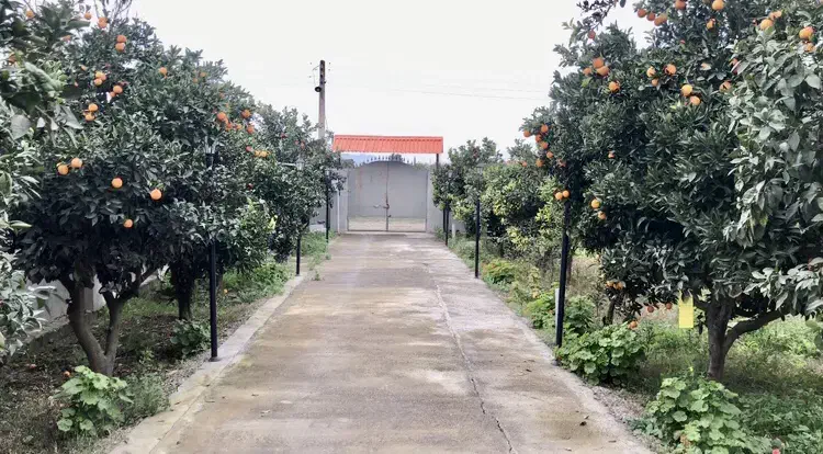 خونه باغ (ویلا) منطقه آزاد تجاری ، صنعتی بهشهر|فروش خانه و ویلا|بهشهر, |دیوار