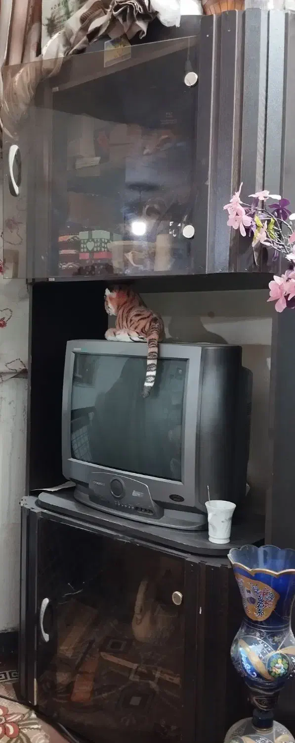 میز تلویزیون فروشی|میز تلویزیون|سراوان, |دیوار