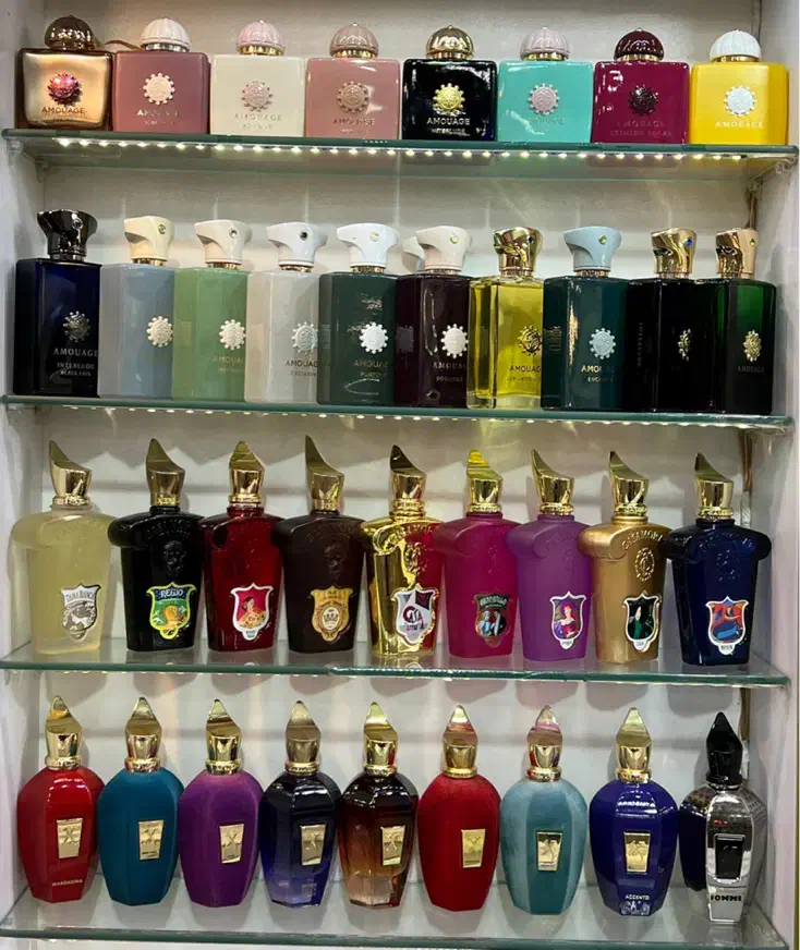 عطر و ادکلن اورجینال با ضمانت|آرایشی، بهداشتی، درمانی|تهران, اکباتان|دیوار