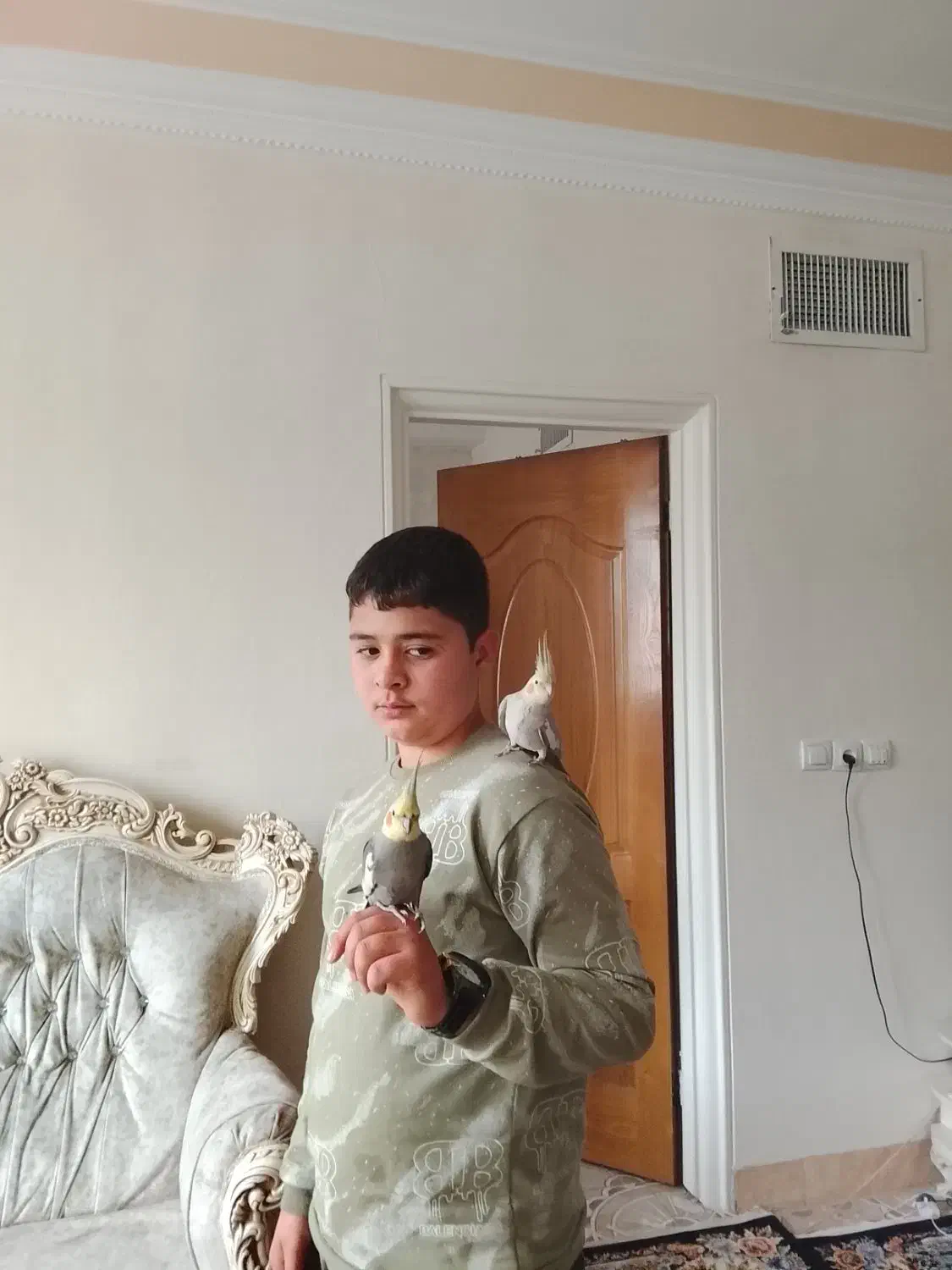 یک جفت عروس هلندی|پرنده|رباطکریم, شترخوار|دیوار