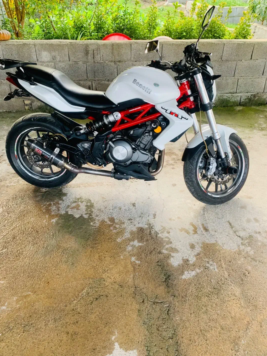 فروش یک دستگاه بنلی ۳۰۰ جفت سیلندر|موتورسیکلت|شیرود, |دیوار