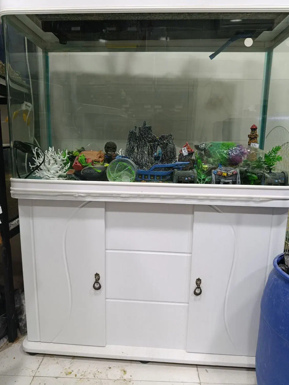 انواع آکواریوم دست دوم ونو وملزومات زیر قیمت بازار|ماهی|بوشهر, |دیوار