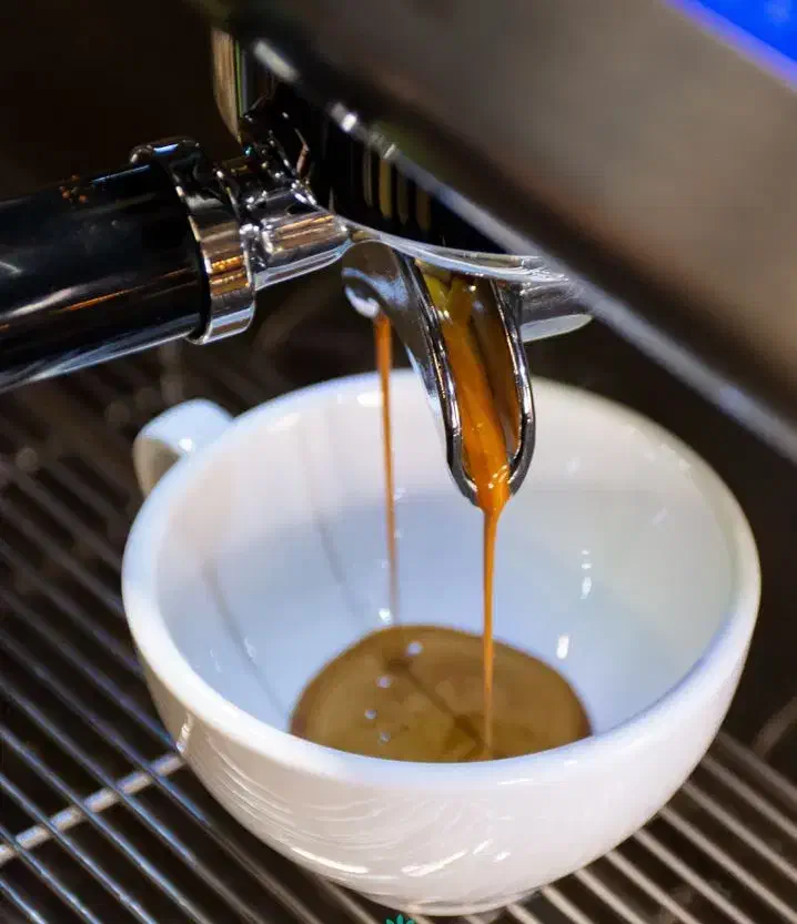 استخدام نفر تولید محتوا کافه رستوران|استخدام رایانه و فناوری اطلاعات|اهواز, پادادشهر|دیوار