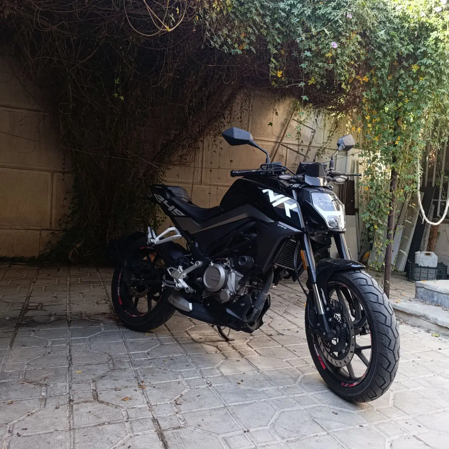 سی اف cf 250 nk|موتورسیکلت|شیراز, قلعه شاهزاده بیگم|دیوار