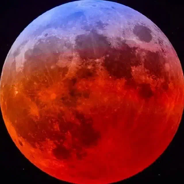 اهل شهر دستجرد|فعالیت داوطلبانه|خلجستان, |دیوار