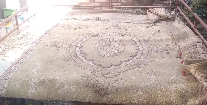 فرش دست دوم|فرش|یزد, |دیوار