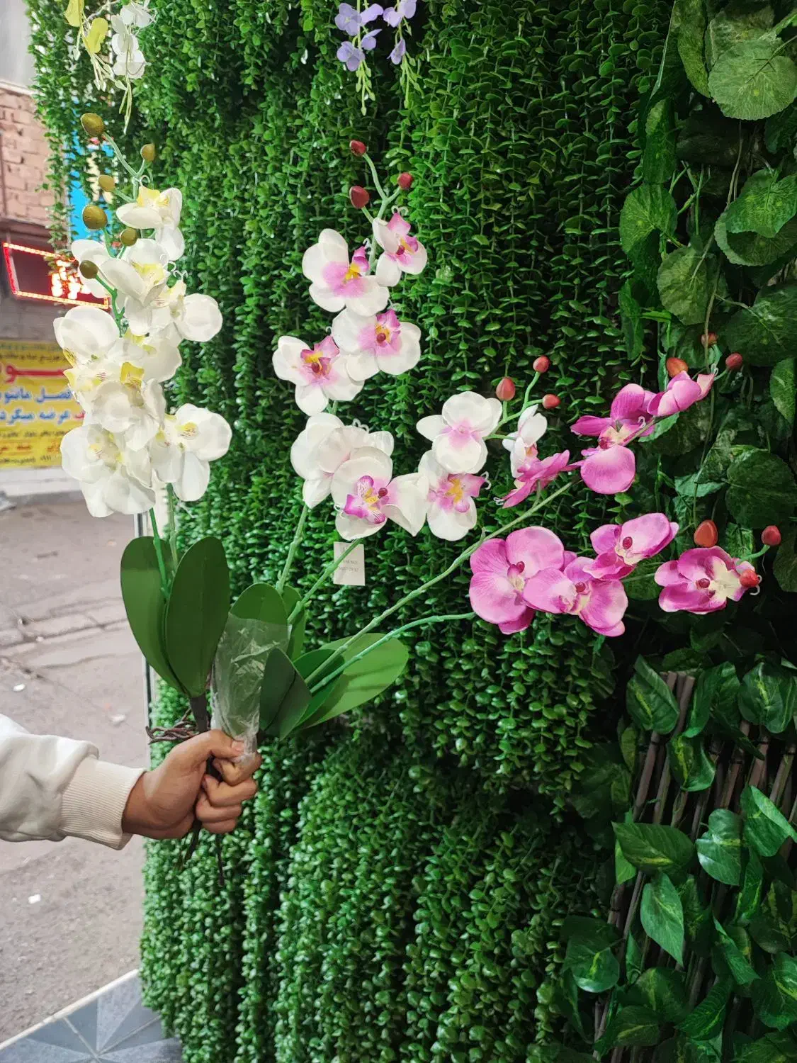 ارکیده مصنوعی|گل مصنوعی|قم, نیروگاه|دیوار