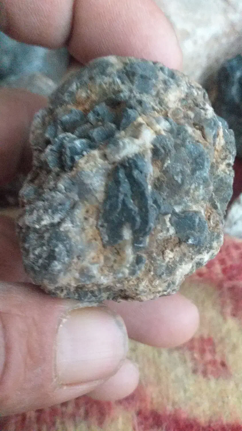 سنگ بشم و.... قدیمی وباستانی|کلکسیون اشیاء عتیقه|کرمان, |دیوار