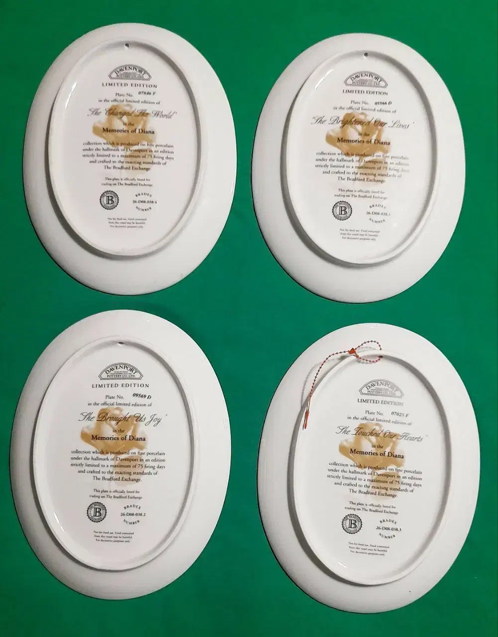 ست کلکسیونی بشقاب یادبود پرنسس دایانا|کلکسیون اشیاء عتیقه|شیراز, حومه شیراز|دیوار