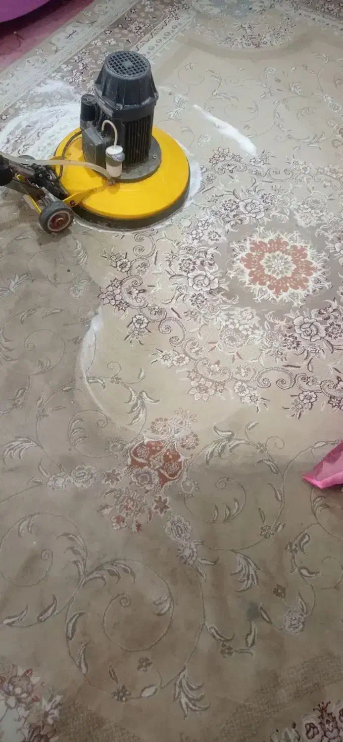 مبل شویی و فرش شویی (طلاشور)|خدمات نظافت|مشهد, راهنمایی|دیوار