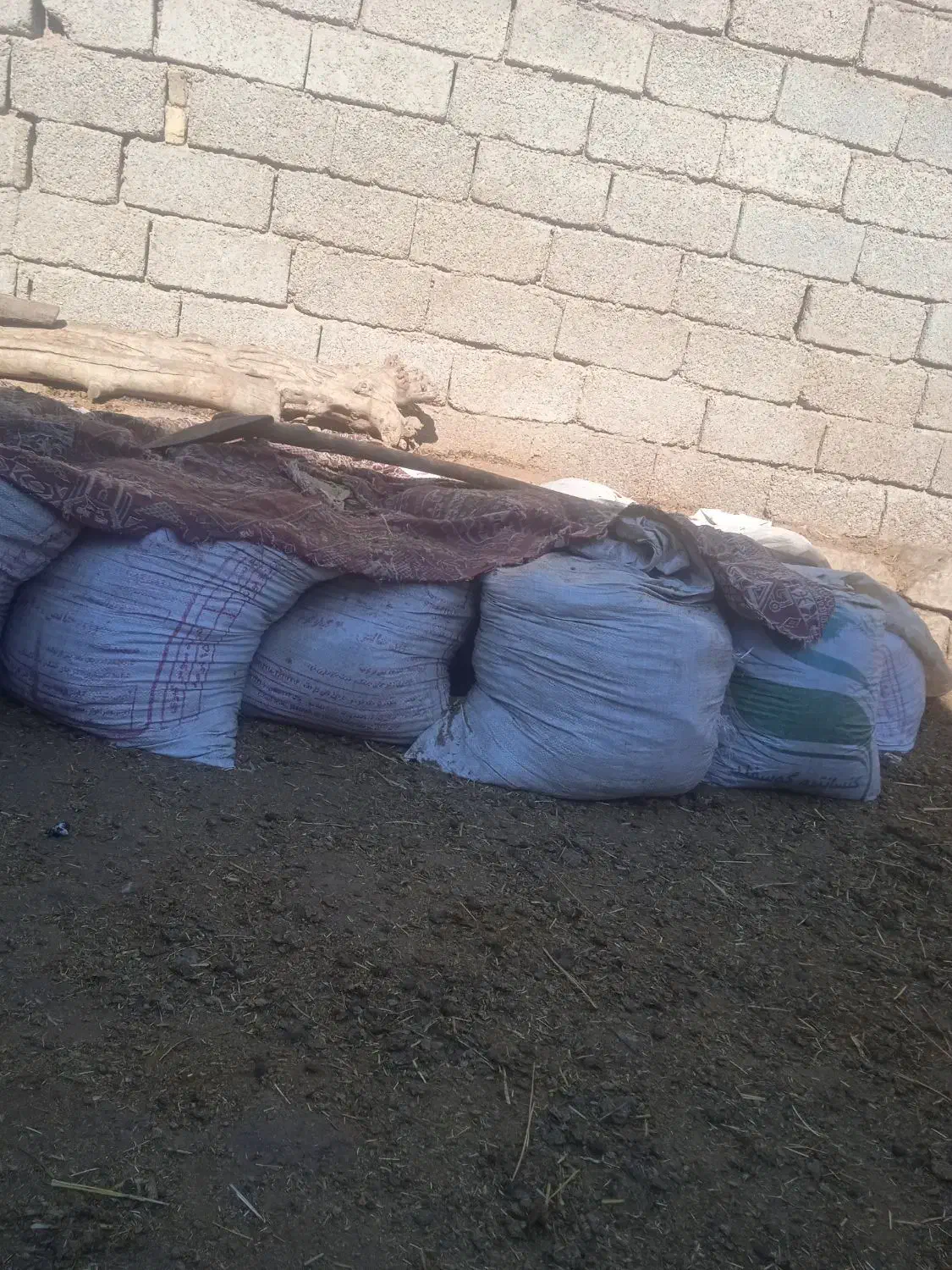 کود|خدمات باغبانی و درختکاری|شوشتر, |دیوار