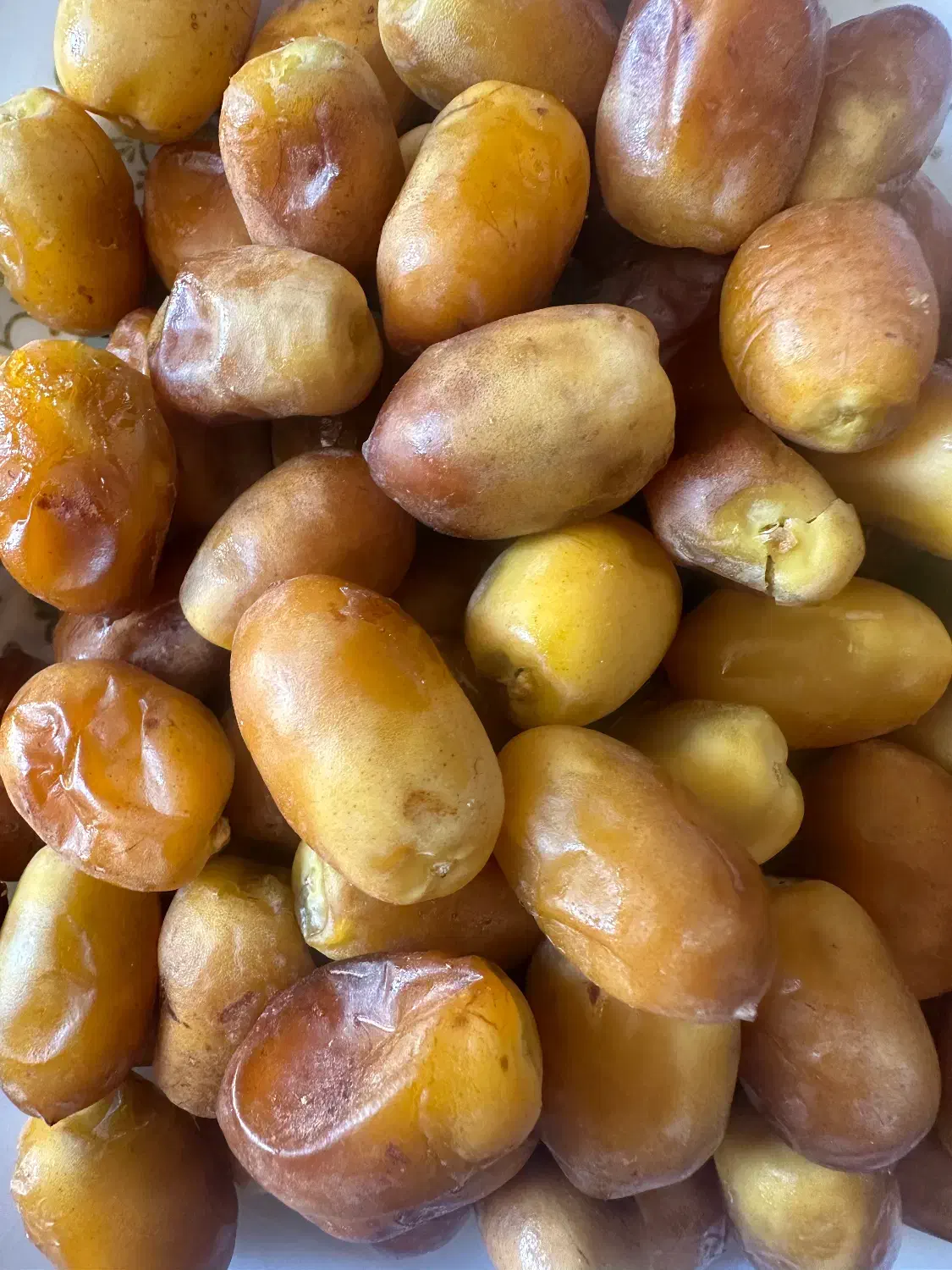 قصب تازه|خوردنی و آشامیدنی|شیراز, رکن‌آباد|دیوار