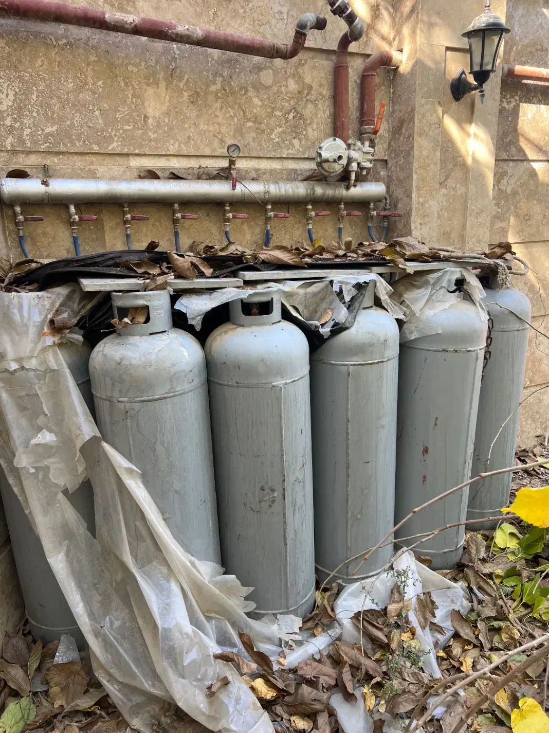 کپسول گاز|اجاق گاز و لوازم برقی پخت‌وپز|شاندیز, |دیوار