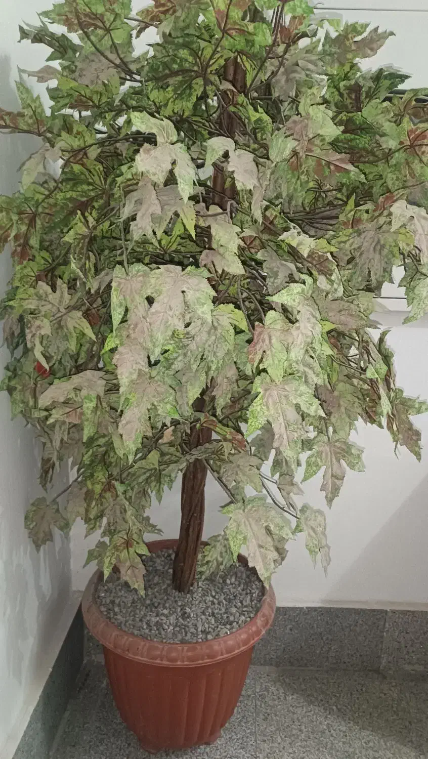 درخت گل پاییزی|گل مصنوعی|بیرجند, |دیوار