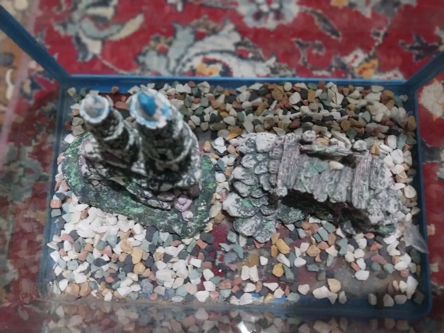 شیشه ماهی شرکتی|ماهی|باقرشهر, |دیوار